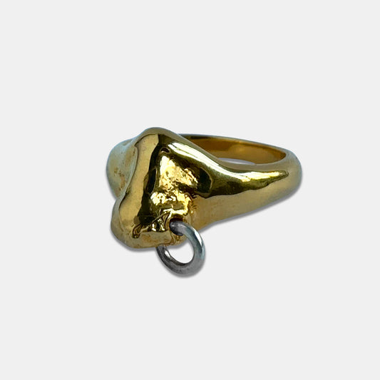 Nose Ring - Gold (Silver Hoop)