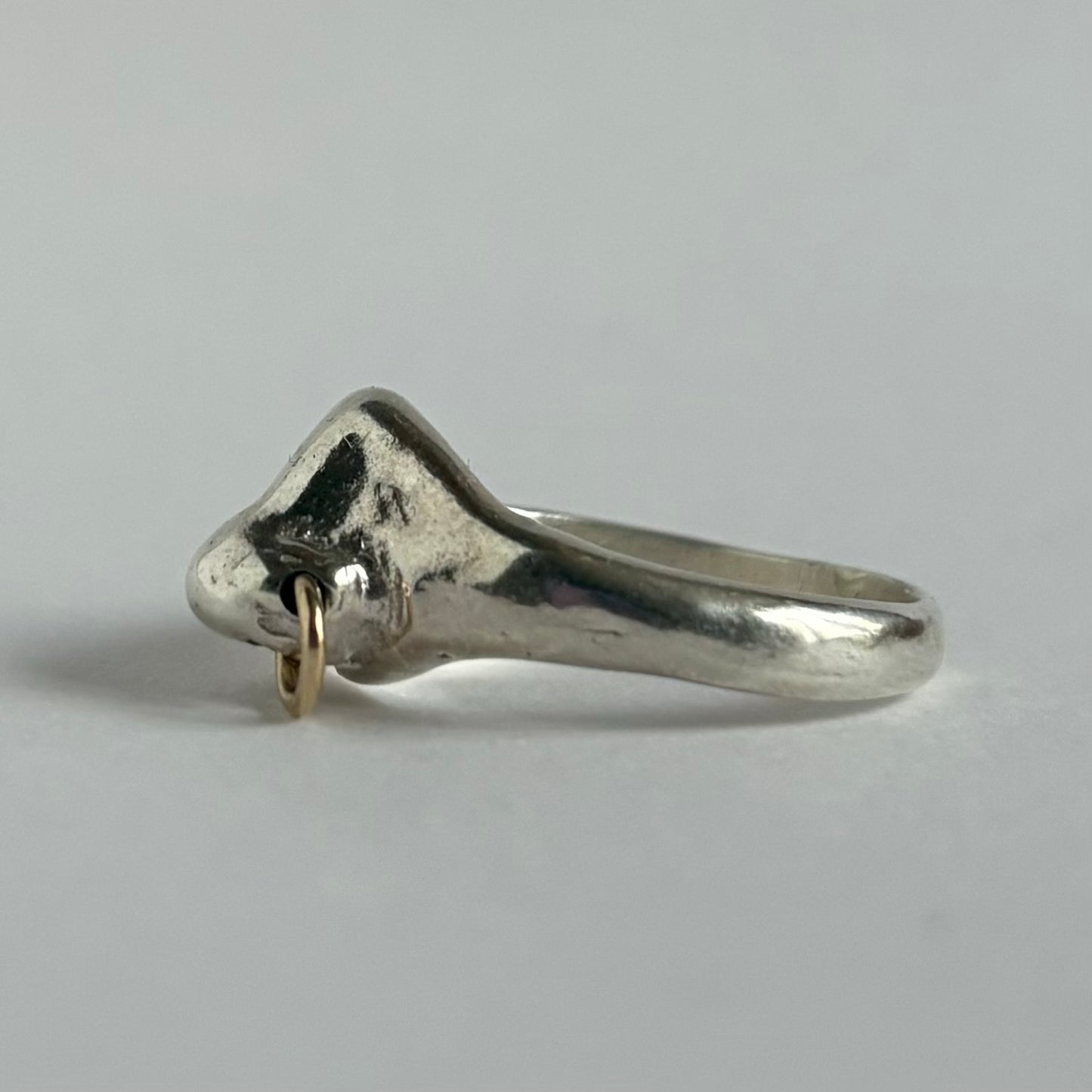 The Nose Ring - Silver (Gold Hoop) - Rings