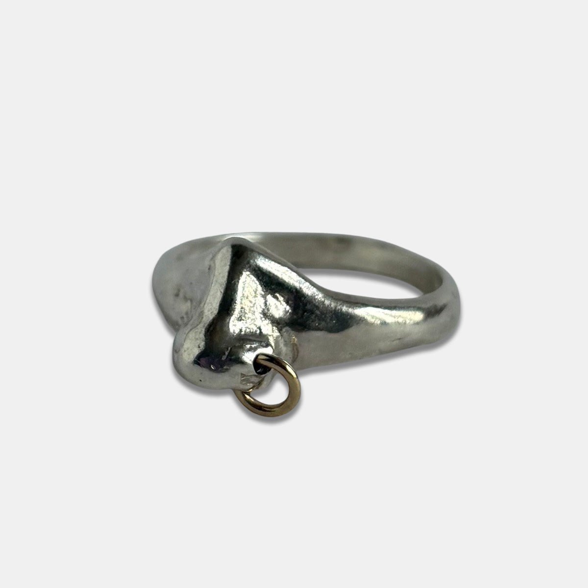 The Nose Ring - Silver (Gold Hoop) - Rings