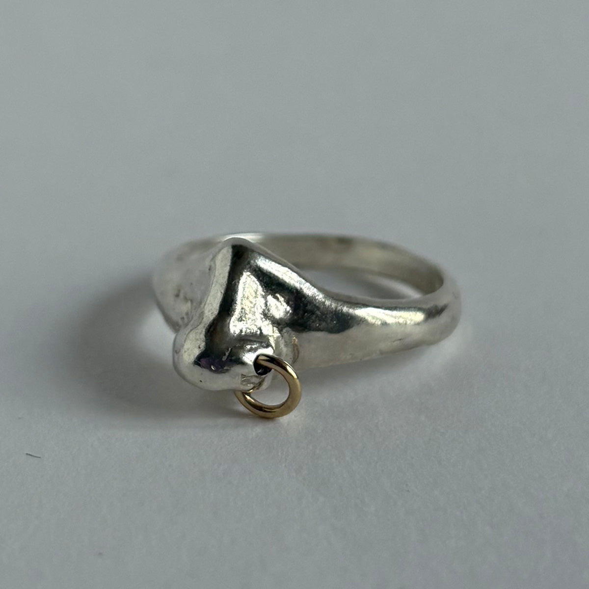 The Nose Ring - Silver (Gold Hoop) - Rings